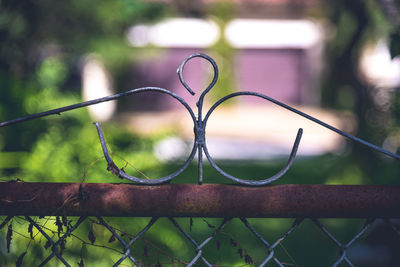 Close-up of rusty fence at garden