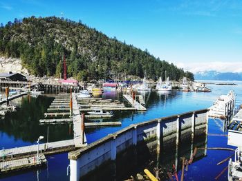 Boats moored at harbor