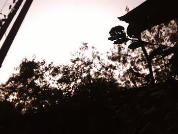 Low angle view of silhouette trees against sky