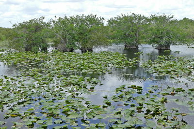 Scenic view of lake against sky