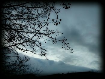 Low angle view of bare trees against cloudy sky