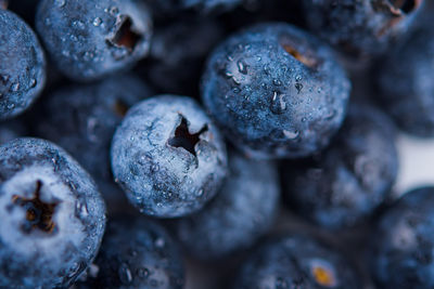Wet fresh blueberry background. studio macro shot