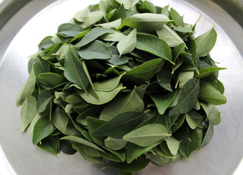 High angle view of leaves in plate