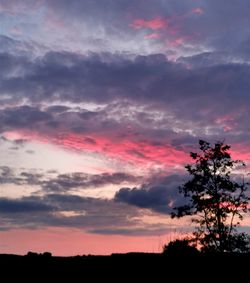 Silhouette trees on field against sky at sunset