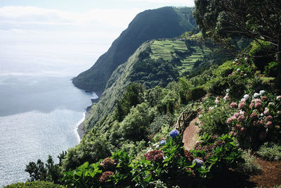 Scenic view of sea against sky