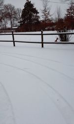 Snow covered landscape