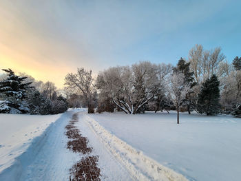 Trees on snow covered field against sky during sunrise