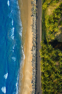 Beach of bird view