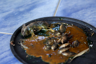 High angle view of fish in plate