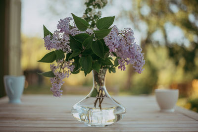 Close-up of flower pot on table