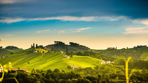 Scenic view of agricultural field against sky