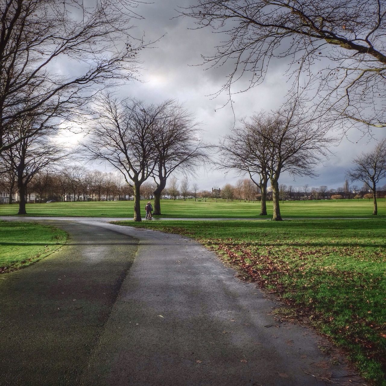 Bellahouston Park‎