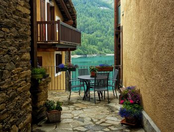 Potted plants on table by building