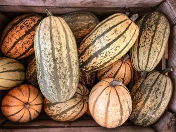 High angle view of pumpkins for sale in market