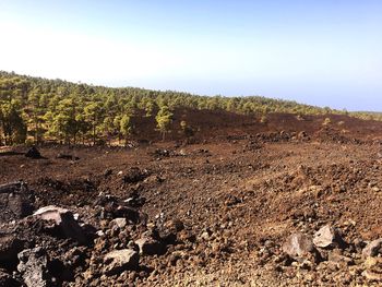 Scenic view of landscape against clear sky