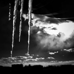 Low angle view of trees against sky