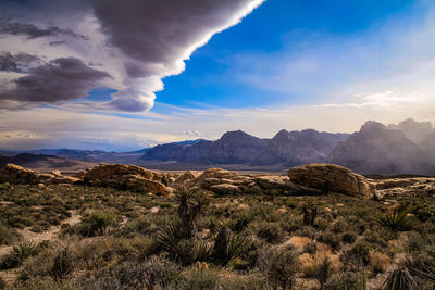 Scenic view of landscape against sky