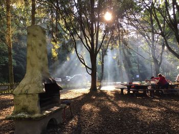 Sun shining through trees in park