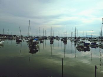 Boats in harbor