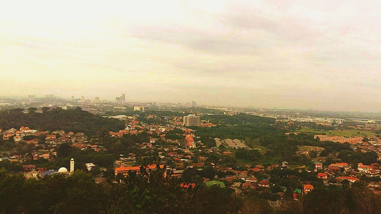 AERIAL VIEW OF TREES AND CITYSCAPE AGAINST SKY