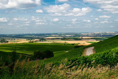 Scenic view of agricultural field against sky