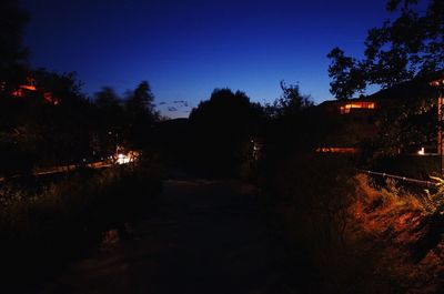 Illuminated trees against clear sky at night