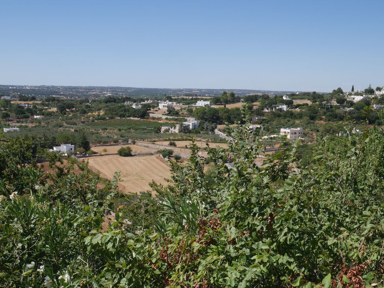 TOWN BY TREES AGAINST CLEAR SKY