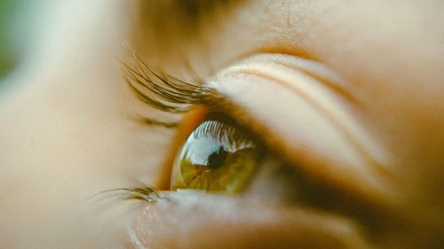 Extreme close-up of woman eye