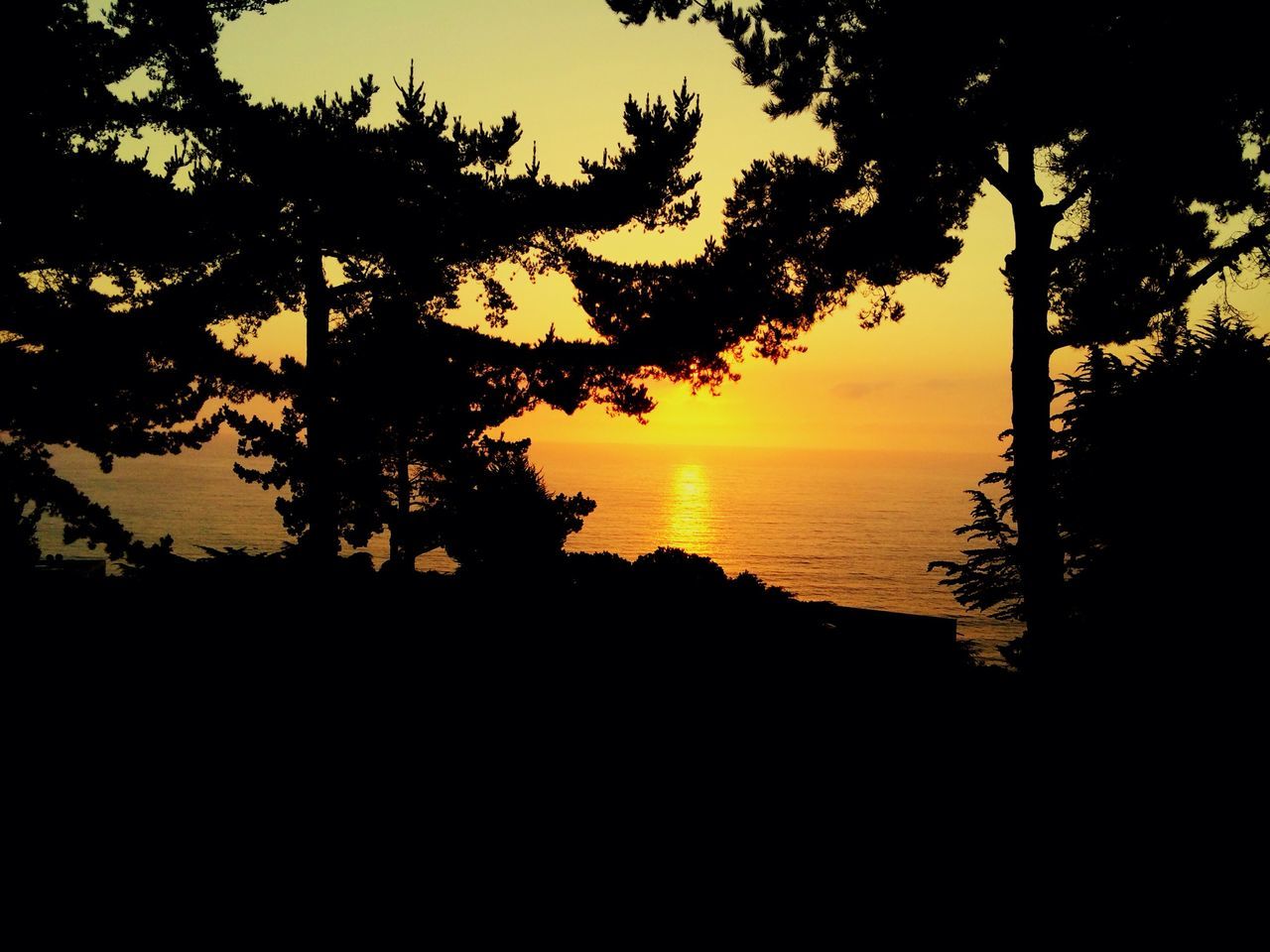 silhouette, sunset, tranquil scene, tranquility, scenics, beauty in nature, tree, sky, nature, idyllic, sea, horizon over water, dark, water, sun, outline, branch, orange color, outdoors, calm