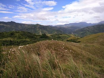 Scenic view of landscape against sky