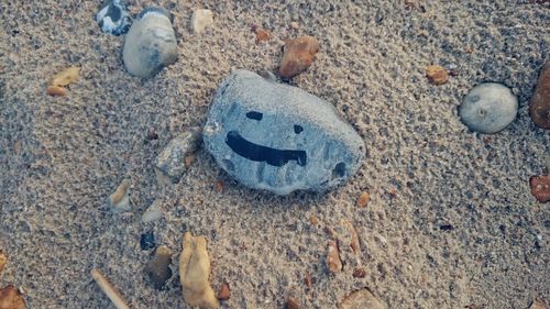 Close-up of pebbles on pebbles