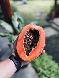 Cropped hand holding papaya 