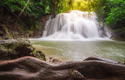 Scenic view of waterfall in forest