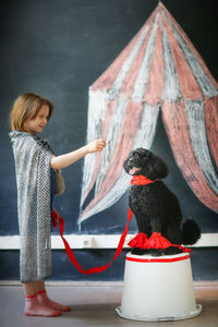 Cute child girl and black poodle dog playing circus. tent drawn in chalk, dog training