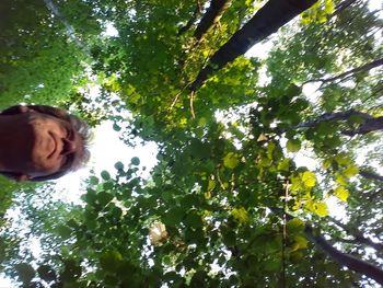Low angle portrait of woman against trees