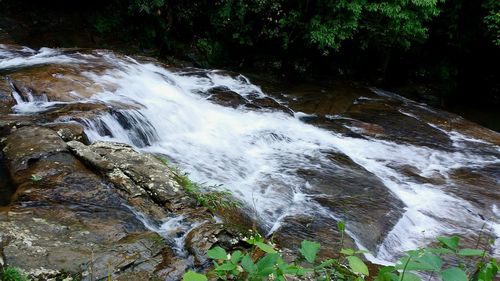 Scenic view of waterfall in forest