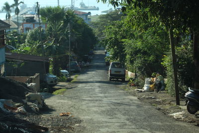 View of trees in city