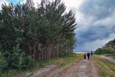 Rear view of people walking on road amidst trees against sky