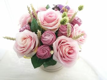 Close-up of pink roses against white background