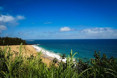 Scenic view of sea against blue sky