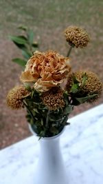 Close-up of flowers