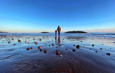 Rear view of person standing at beach against clear blue sky