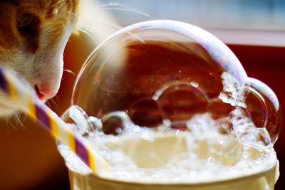 Close-up of bubbles in water