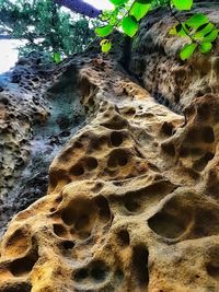 High angle view of rock formation on land