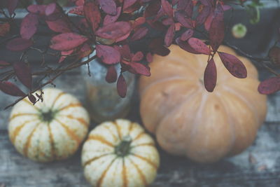 Close-up of leaves over pumpkin on table 