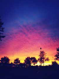 Silhouette of trees at sunset