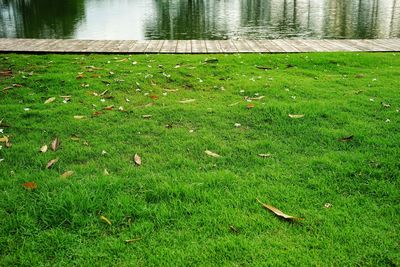 High angle view of lake