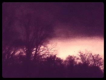 Low angle view of bare trees against sky