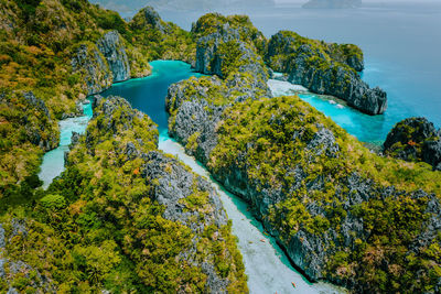 High angle view of trees by sea