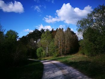 Road amidst trees against sky